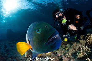 Friends by Gleb Tolstov 